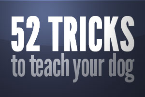 52 tricks to teach your dog