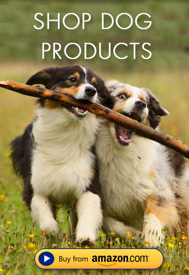 Shop Dog Products on Amazon!