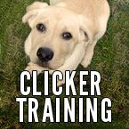 Clicker Training