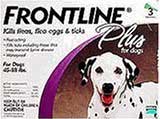 frontline flea medicine