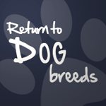 Return To Dog Breeds