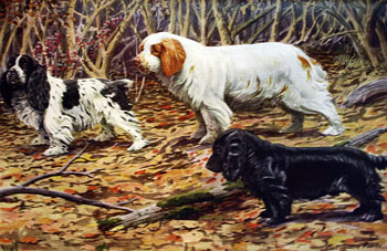 Clumber, Field, And Cocker Spaniels
