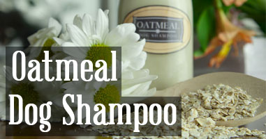 Oatmeal Dog Shampoo