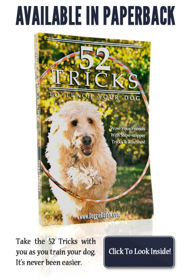 View 52 Tricks to Teach Your Dog on the Amazon Bookstore!