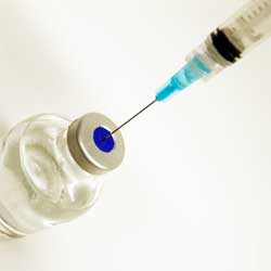 dog vaccine
